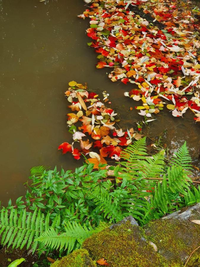 Moulin Menhirs & Zone Naturelle Protegee Saint-Just  Ngoại thất bức ảnh